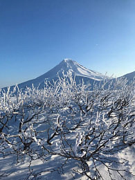 Новогодние каникулы на Камчатке